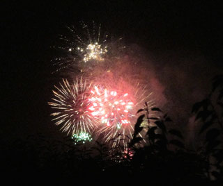 Firework of Rotorua Lakeside Concert (2015.2.21)