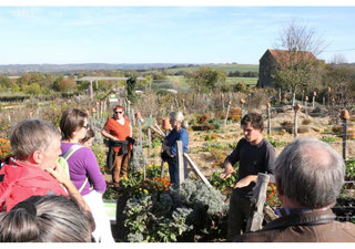 Visite guidée du jardin en permaculture