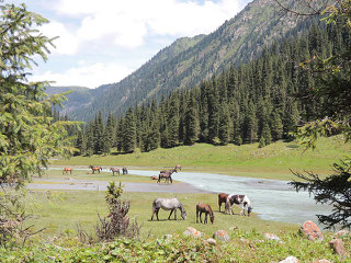 Kyrgyzstan
