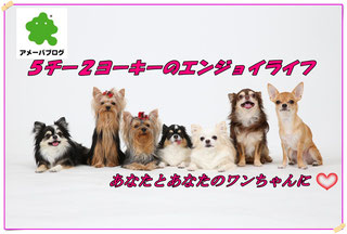 4チー1ヒナのエンジョイライフ