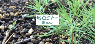 松セミナーShop