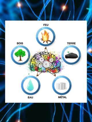 Formation neuro cellulaire, peggy meunier, formation holistique, formation kinésiologie, somatic experiencing, somatic bordeaux, formation bien-être