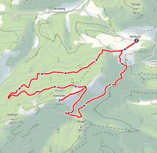 Steinmühlen, Molln, Leonstein, Kirchdorf, Altpernstein, Wanderung, Herbstwanderung, Oberösterreich