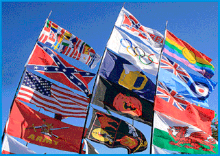 comprar-banderas-baratas-publicitarias-institucionales-aragon-don-bandera