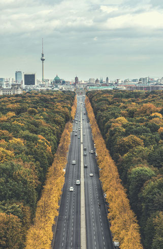 Escort Berlin Bezirke und Stadtteile mit lokaler Orientierung