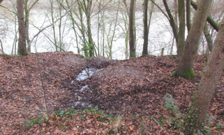 plusieurs sources sur les bords du fleuve