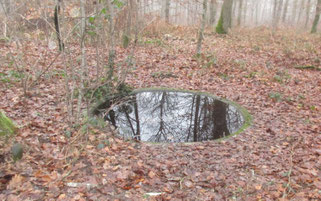 petit trou d'eau comme abreuvoir