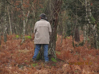 Il est défendu d'arroser plantes et arbres