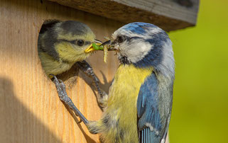 Foto: © Rita Priemer
