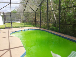 pool cleaning kissimmee