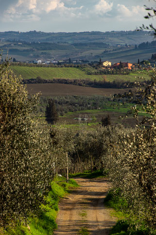 Colli del Montalbano