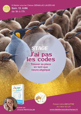 Stage J'ai pas les codes avec Christel Petitcollin