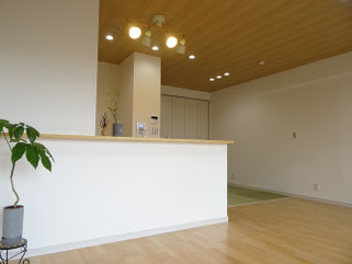 リフォーム,リノベーション,施工例,施工事例,キャステージパーク