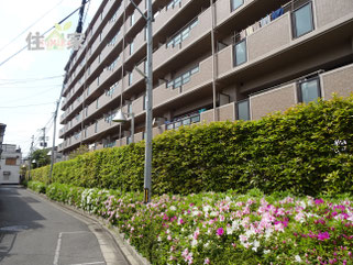 サンメゾン若江岩田,東大阪,中古マンション,スーモ,ホームズ,suumo,homes,若江岩田