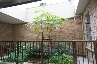 小阪ハイライフ