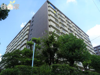 すみれ橋第1コーポ,城東区中古マンション,城東区中古物件,東大阪,中古マンション,スーモ,ホームズ,suumo,homes,リノベーション,リフォーム,住家,すみか,sumika