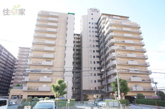 シャトー第3八戸の里,シャトー第三八戸の里,シャトー第3八戸ノ里,シャトー第三八戸ノ里