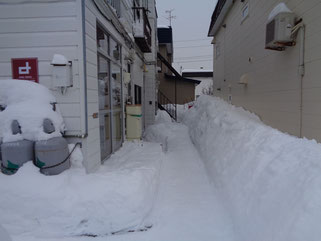 札幌通路の安いシーズン除雪