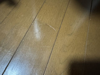 小樽フローリング補修は合同会社Suiren