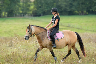 Cours d'équitation, de l'initiation à la compétition à proximité d'Auxerre