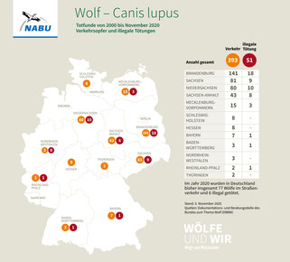 Wolf – Totfunde in Deutschland, von 2000 bis Nov. 2020, Stand: 05.11.2020, Grafik-Quelle: NABU
