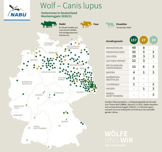 Wolf – Vorkommen in Deutschland, Monitoring 2020/21, Grafik-Quelle: NABU