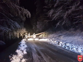 Einsatz 02/2018 - Baum über Fahrbahn