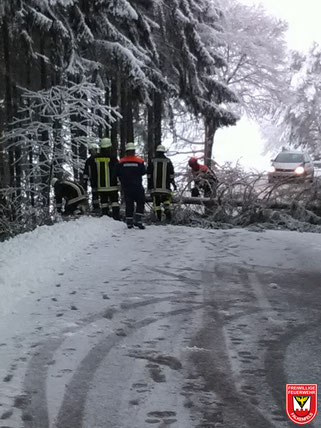 Einsatz 03/2018 - Baum über Fahrbahn