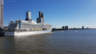 Rotterdam Kreuzfahrt Hafen und Landausflüge