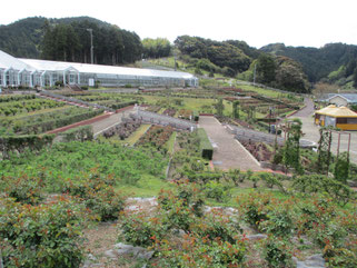 4月12日 園内