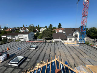 Alte Winterthurerstrasse | Wallisellen