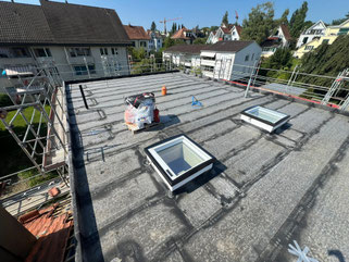 Alte Winterthurerstrasse | Wallisellen