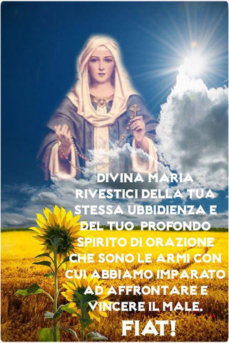 Lacne su un corso come combattere