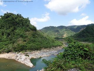 Dschungel im Vietnam