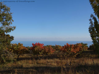Herbstliche Farbenbracht am Issykkul