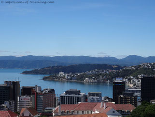 Wellington vom Botanischen Garten