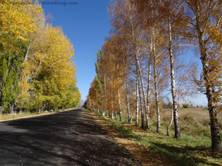 Herbstliche Farbenbracht am Issykkul