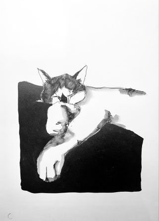 Phoebe, A4, Tusche auf Aquarellpapier, VERKAUFT