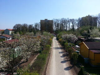 Der Weg durch die Gartenanlage