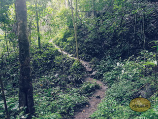 Weg zum Mae Pan Wasserfall