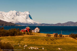 Nordkap, Lappland und die Lofoten mit dem Wohnmobil