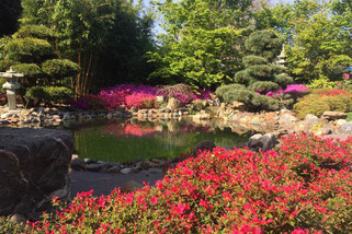 Binnenkijken in Japanse tuin: 5 ideeën voor zen achtertuin