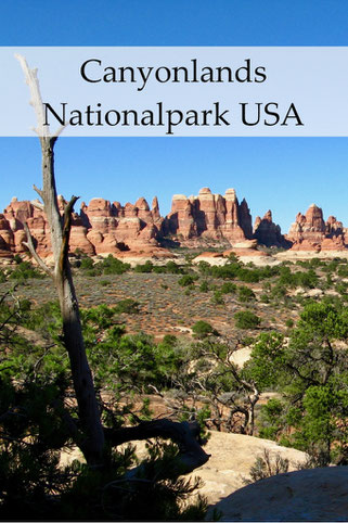 USA Reise: Canyonlands Nationalpark mit Island in the Sky und Needles.