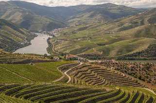 Douro Route Flusskreuzfahrt 2024 Barca d'Alva Vega Terron Portugal Spanien Flussschiff flusskreuzfahrt vergleich angebote 2024 Salamanca Regua Pinhao
