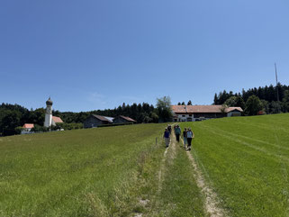Foto von Menschen, die durch ein Feld wamdern