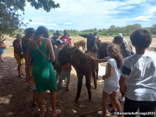 Visite d'une ferme en famille à 10 minutes de Narbonne