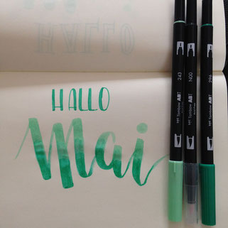 Hallo Mai, ein Jahr danach