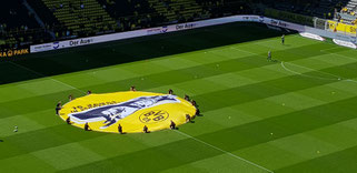 BVB - Mainz 05 am 05. Mai 2018