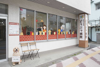 立川中央どうぶつ病院