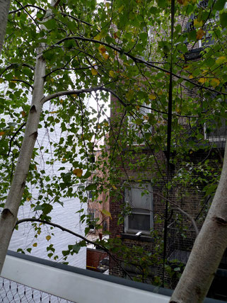 view from the High Line onto some houses